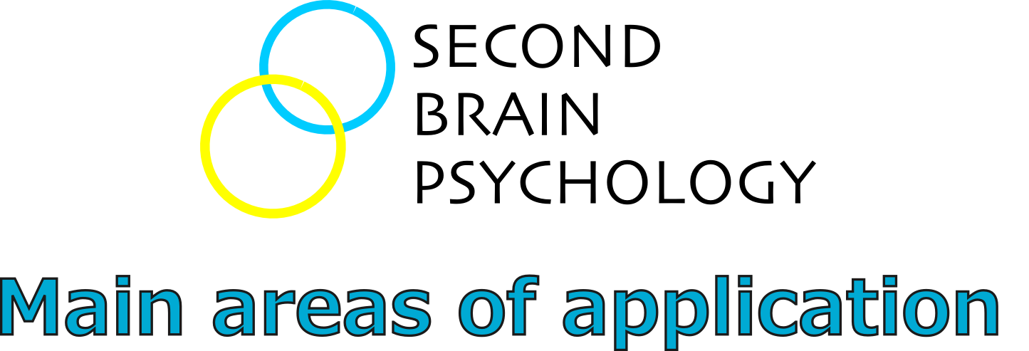 main areas of application SBP logo